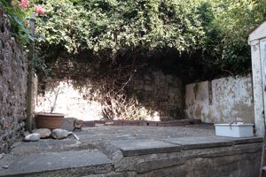 Garden- click for photo gallery